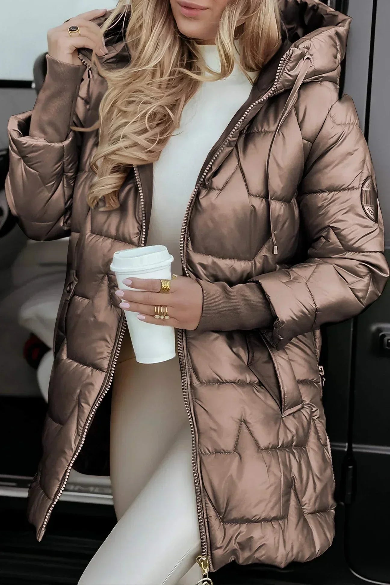 Ciedera Metallic Puffer Jacket