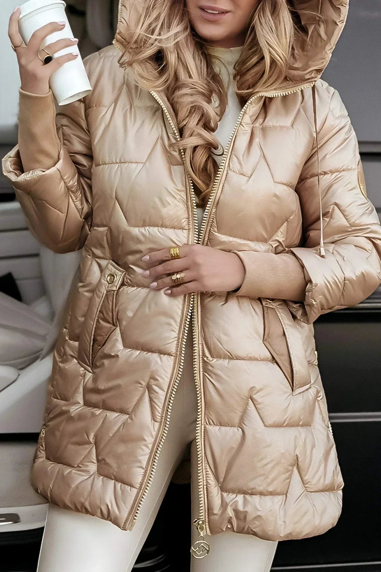 Ciedera Metallic Puffer Jacket
